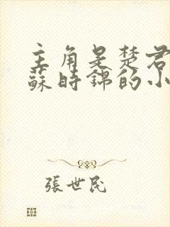 主角是楚君彻和苏时锦的小说