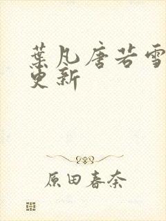 叶凡唐若雪王婿更新