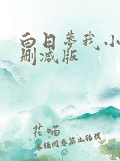 白日梦我小说未删减版