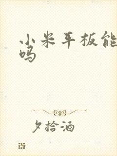 小米平板能画画吗