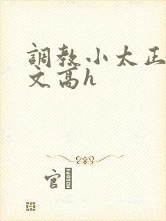 调教小太正肉车文高h