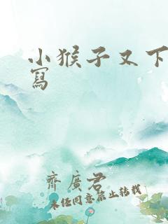 小猴子又下山续写