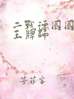 二战德国国防军王牌师