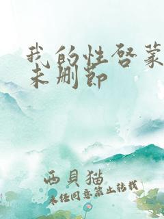 我的性启蒙老师未删节