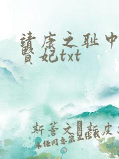 靖康之耻中的韦贤妃txt