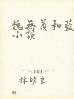 魏无羡和蓝忘机小说