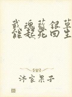 武魂蓝银草,我能起死回生完整版