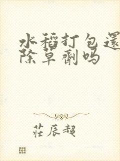 水稻打包还能打除草剂吗