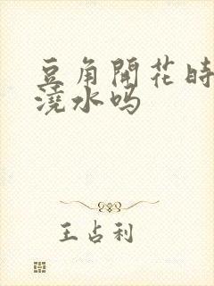 豆角开花时需要浇水吗