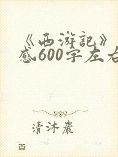 《西游记》读后感600字左右