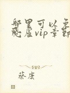 哪里可以免费看飞卢vip章节小说