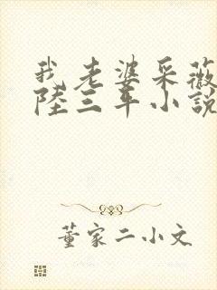 我老婆采薇养父陆三平小说txt