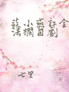 苏小燕许金旺普法栏目剧