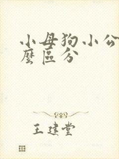 小母狗小公狗怎么区分