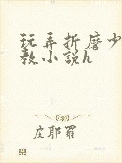 玩弄折磨少妇调教小说h
