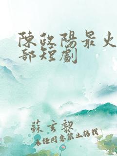 陈政阳最火的三部短剧
