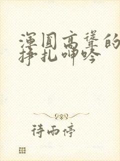 浑圆高耸的人妻挣扎呻吟