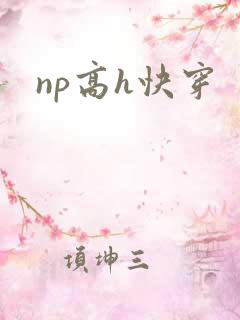 np高h快穿