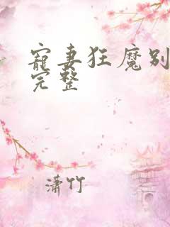 宠妻狂魔别太坏完整