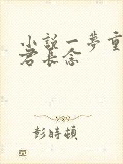 小说一梦重生与君长念