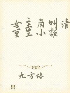 女主角叫清婉的重生小说 女主角叫清婉的重生小说