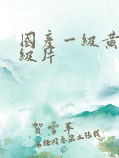 国产一级黄色一级片