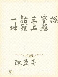 一胎三宝总裁爹地宠上瘾