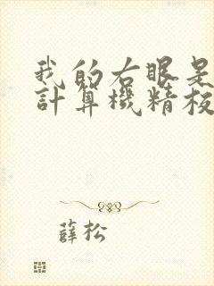 我的右眼是神级计算机精校版