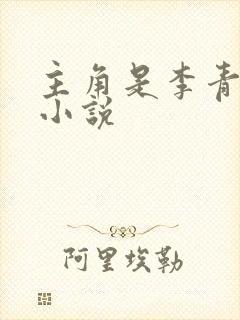 主角是李青山的小说