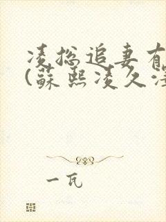 凌总追妻有点甜(苏熙凌久泽) 凌总追妻有点甜(苏熙凌久泽)