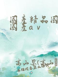 国产精品国三级国产aⅴ