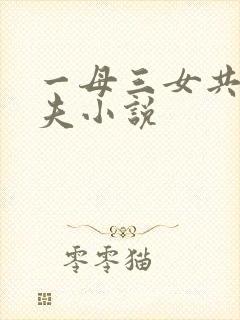 一母三女共侍一夫小说