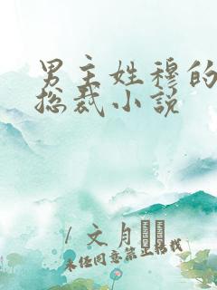 男主姓穆的霸道总裁小说