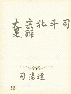 大宋北斗司尊上是谁