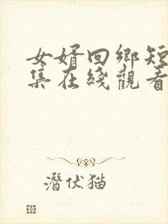 女婿回乡短剧全集在线观看