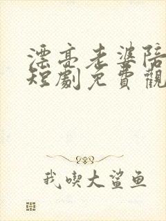 漂亮老婆陪过年短剧免费观看