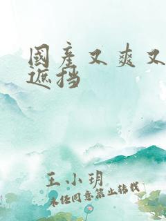 国产又爽又黄无遮挡