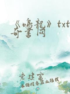 《鸣龙》txt奇书网