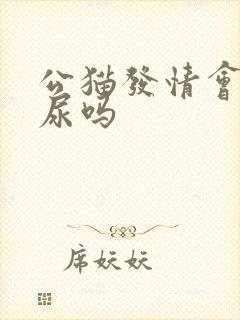 公猫发情会乱撒尿吗