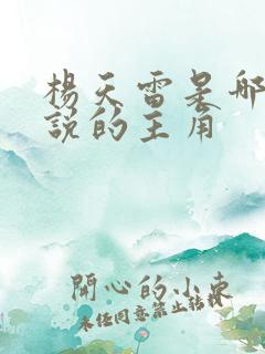 杨天雷是哪部小说的主角