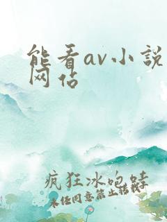 能看av小说的网站