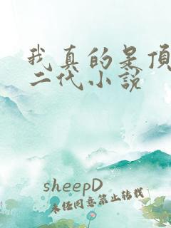 我真的是顶级富二代小说