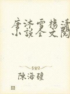 唐沐雪杨潇免费小说全文阅读