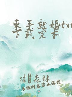 束手就婚txt下载完本