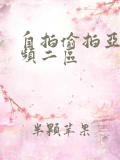 自拍偷拍亚洲视频二区