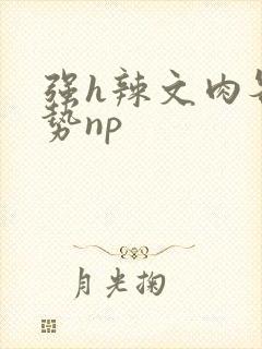 强h辣文肉各种势np