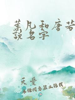 叶凡和唐若雪小说名字