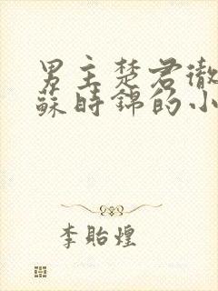 男主楚君彻女主苏时锦的小说