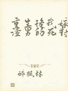 重生后我嫁给了渣男的死对头 连载
