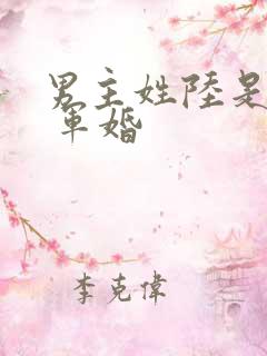 男主姓陆是首长 军婚